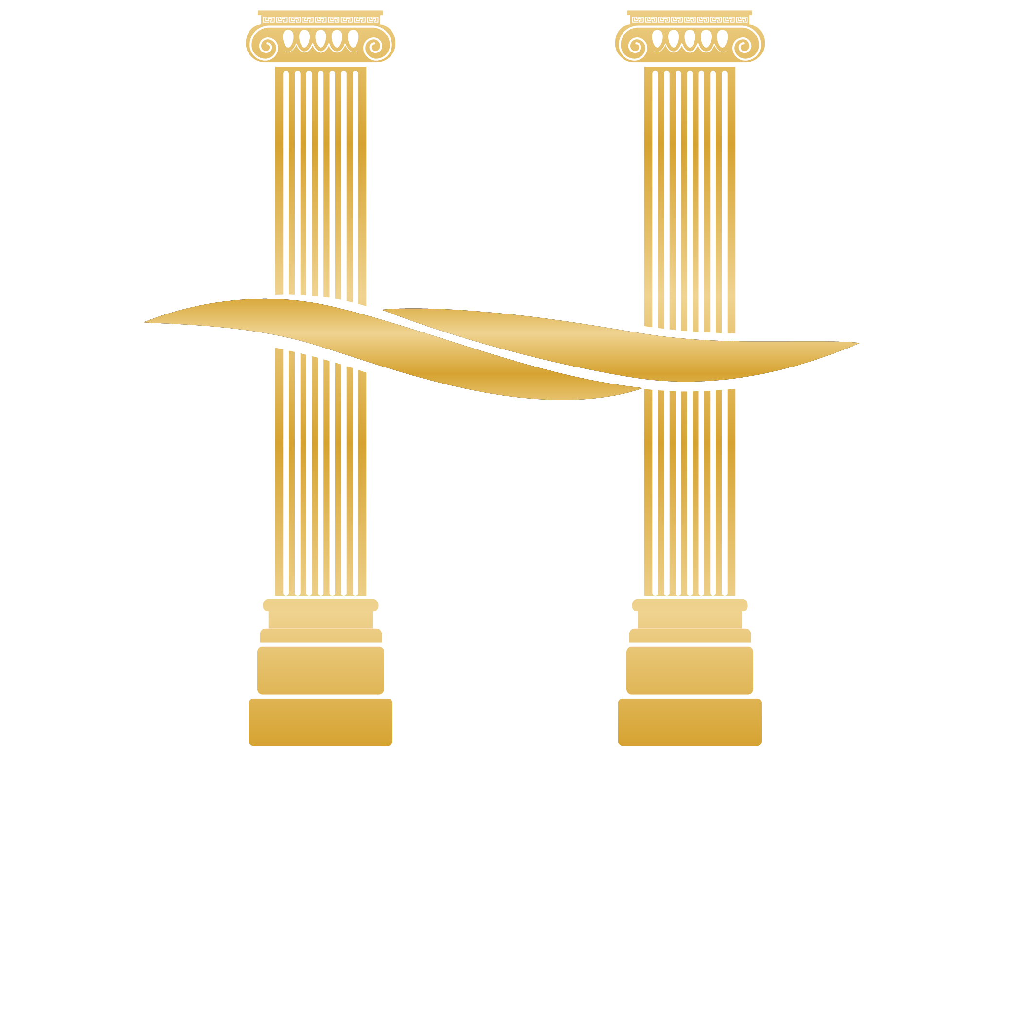 Hedy Corp